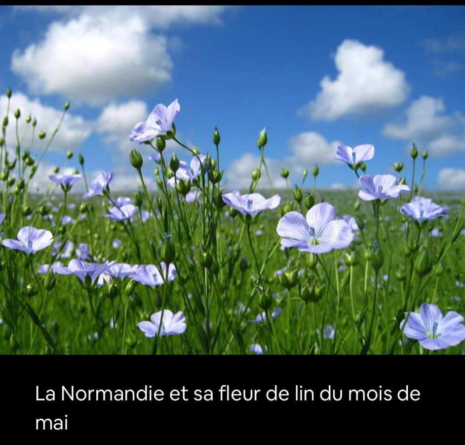 Appartement Veules Roses , La Cressonniere: « Veules & Victor «  Exteriör bild
